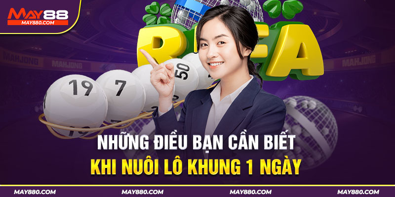 Đôi nét thú vị về lô khung 1 ngày