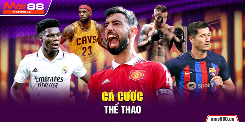 Sảnh thể thao thu hút triệu người chơi