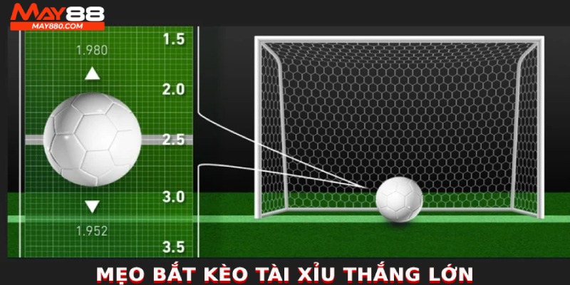 Tips đánh tài xỉu hay từ dân chuyên nghiệp